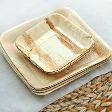 Palm Leaf Plates